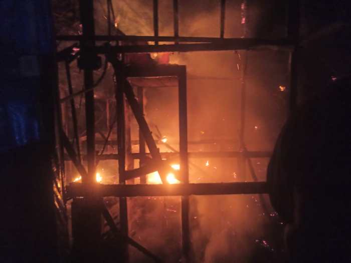 8 Cara Beternak Ayam Kampung dengan Modal Kecil, Hasil Menguntungkan ...