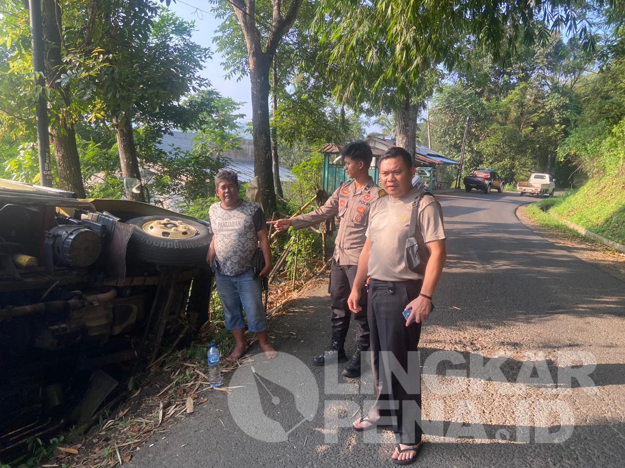 AJAIB !! Ayam Afkir Bertelur Kembali - YouTube AJAIB !! Ayam Afkir Bertelur Kembali - YouTube