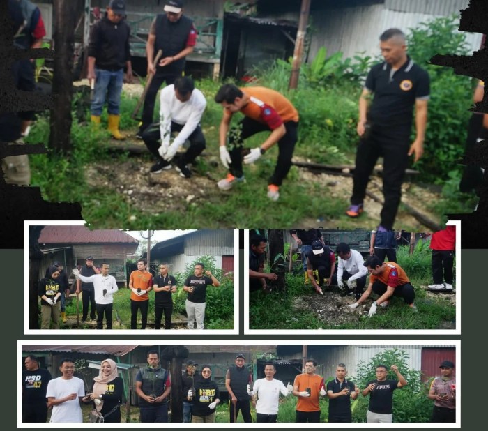 Daun penggemuk ayam di Tanete Riattang Timur, Bone