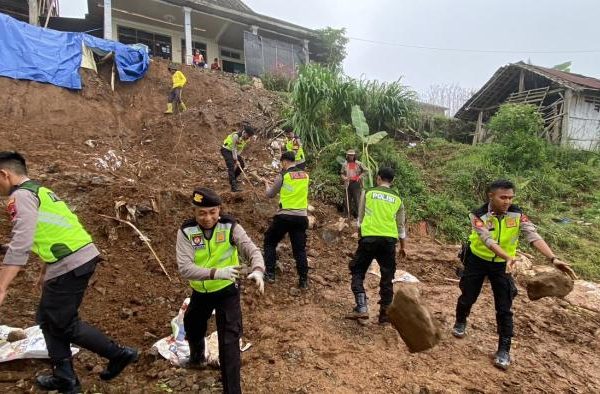 Bulu kelinci di Wadaga, Muna Barat