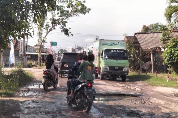 Budidaya ayam di Way Panji, Lampung Selatan