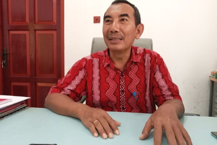 Daun penggemuk ayam di Manokwari Utara, Kab. Manokwari