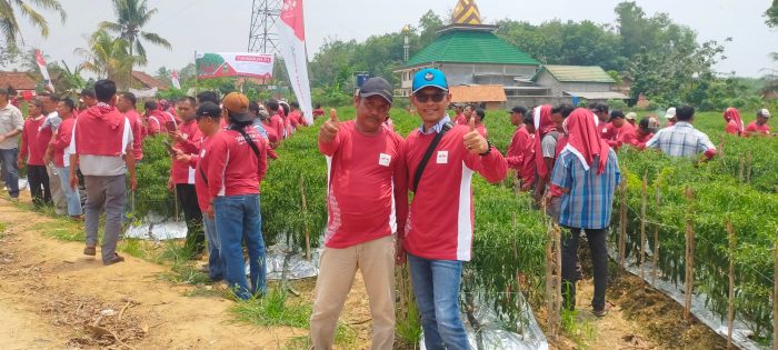 Budidaya ayam di Metro Kibang, Lampung Timur