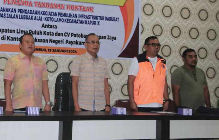 Anjlok! Begini Strategi Bapanas Dongkrak Harga Ayam Ras Ayam ternak di Kapur IX, Kabupaten Lima Puluh Kota