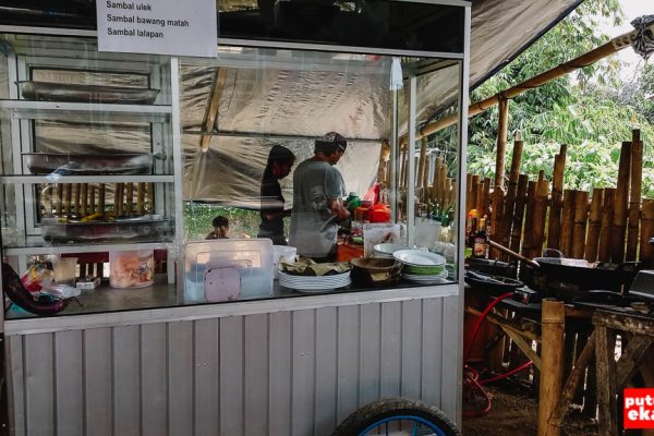 Daun penggemuk ayam di Baturiti, Tabanan