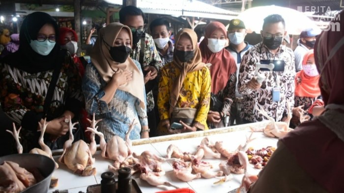 12 Jenis Kambing di Indonesia serta Manfaat dan Tips Pengolahannya! Daging kambing di Gondang, Mojokerto