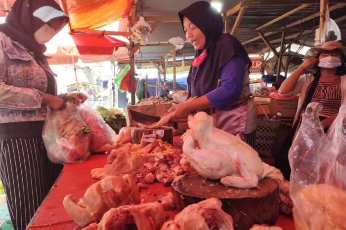 Harga daging sapi dan ayam di Bandarlampung beranjak naik - ANTARA News Daging kambing di Tanjung Karang Pusat, Kota Bandar Lampung