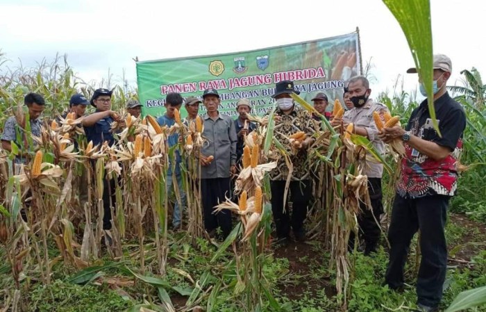 10 Daftar Oleh-oleh Khas Pandeglang yang Wajib Dibawa Pulang Kampung ... 10 Daftar Oleh-oleh Khas Pandeglang yang Wajib Dibawa Pulang Kampung ...