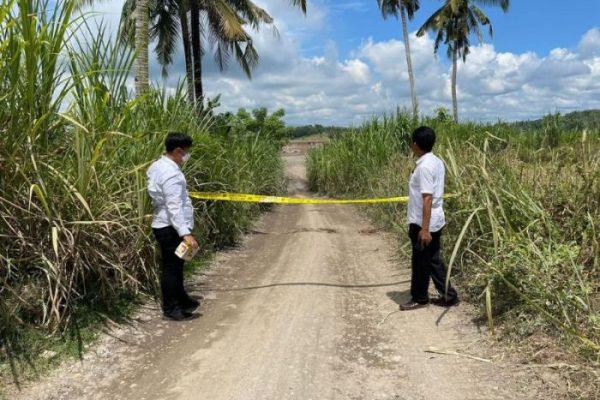 Daun penggemuk ayam di Ujung Loe, Bulukumba