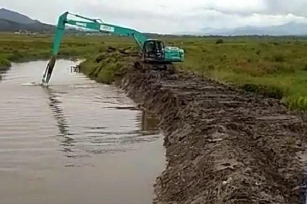 Ayam layer di Hamparan Rawang, Kota Sungai Penuh