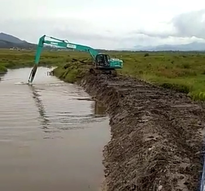 Ayam layer di Hamparan Rawang, Kota Sungai Penuh