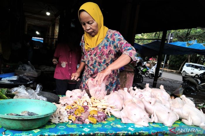 Harga ayam kampung potong di Purbaratu, Kota Tasikmalaya
