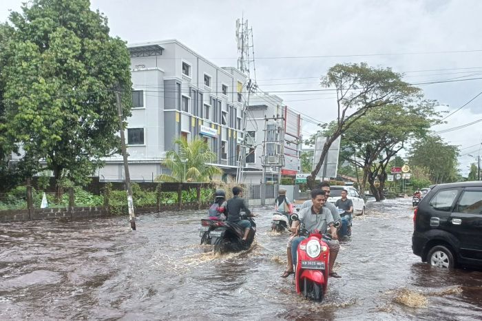 Daun penggemuk ayam di Pontianak Barat, Kota Pontianak