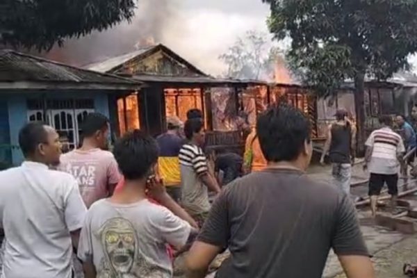 Ayam layer di Nipah Panjang, Kabupaten Tanjung Jabung Timur