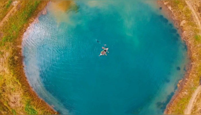 ️ Ternak Ayam Petelur: Panduan dan Tips untuk Memulai Usaha Ternak Ayam ... ️ Ternak Ayam Petelur: Panduan dan Tips untuk Memulai Usaha Ternak Ayam ...