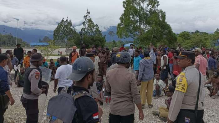 Daun penggemuk ayam di Magambilis, Kab. Mamberamo Tengah