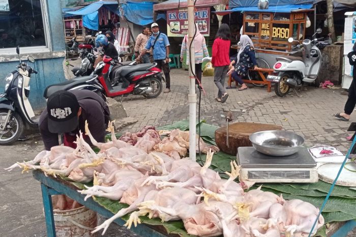 Harga daging ayam di Lebak Banten kembali normal - ANTARA News Banten
