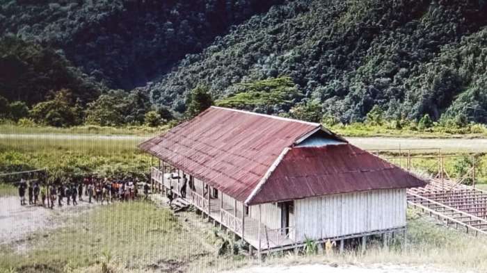 Daun penggemuk ayam di Alama, Kab. Mimika