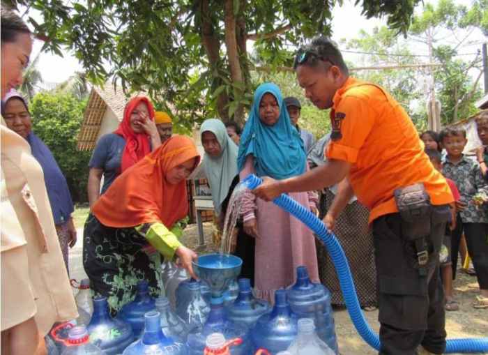Kuota ayam kampung Bekasi - YouTube Kuota ayam kampung Bekasi - YouTube
