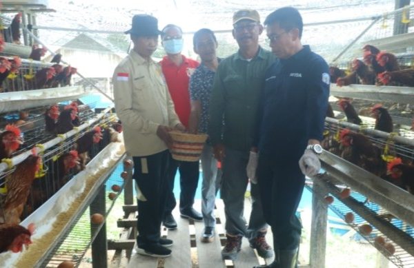 Kades Marga Mulia Gandeng Investor Suplay Ayam Potong Dari Luar