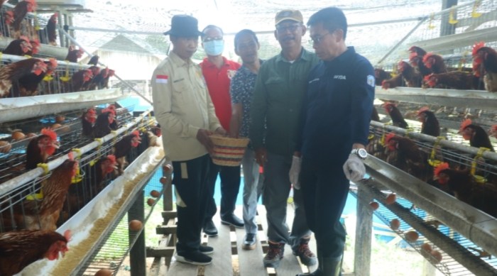 Kades Marga Mulia Gandeng Investor Suplay Ayam Potong Dari Luar