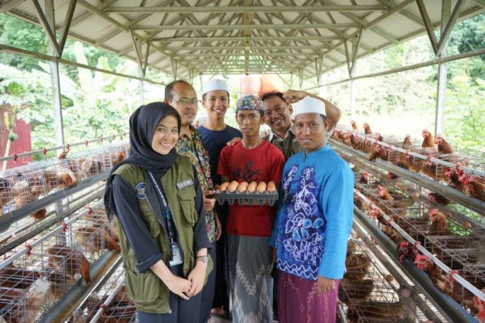 Ternak ayam petelur di Hobard, Kab. Sorong