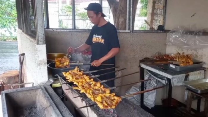 Membuat ayam afkir ( di pasar) kembali bertelur normal - YouTube