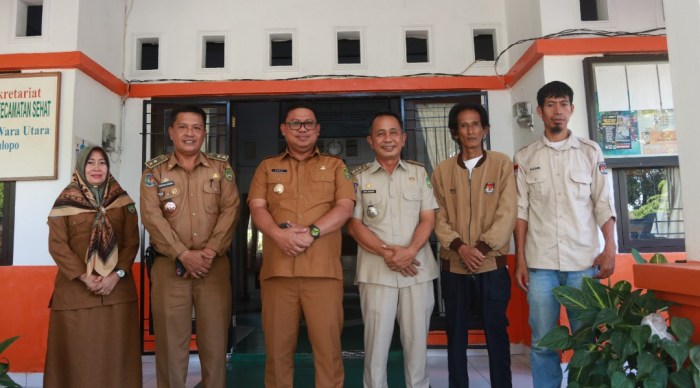 Mau Buka Usaha Ternak Ayam? Ini Beda Keuntungan Ayam Petelur Vs Pedaging Ternak ayam petelur di Wara Utara, Kota Palopo