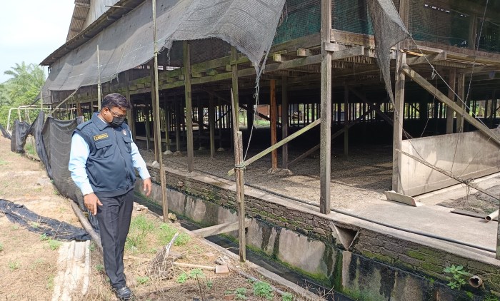 18 SD Negeri dan Swasta Pilihan di Lima Puluh Koto – Kemdikbud