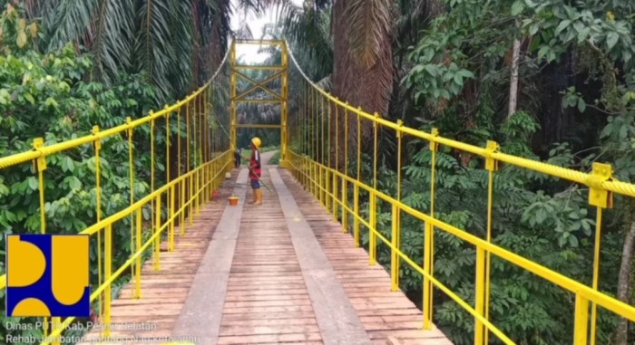 Ayam ternak di Basa Ampek Balai Tapan, Kabupaten Pesisir Selatan