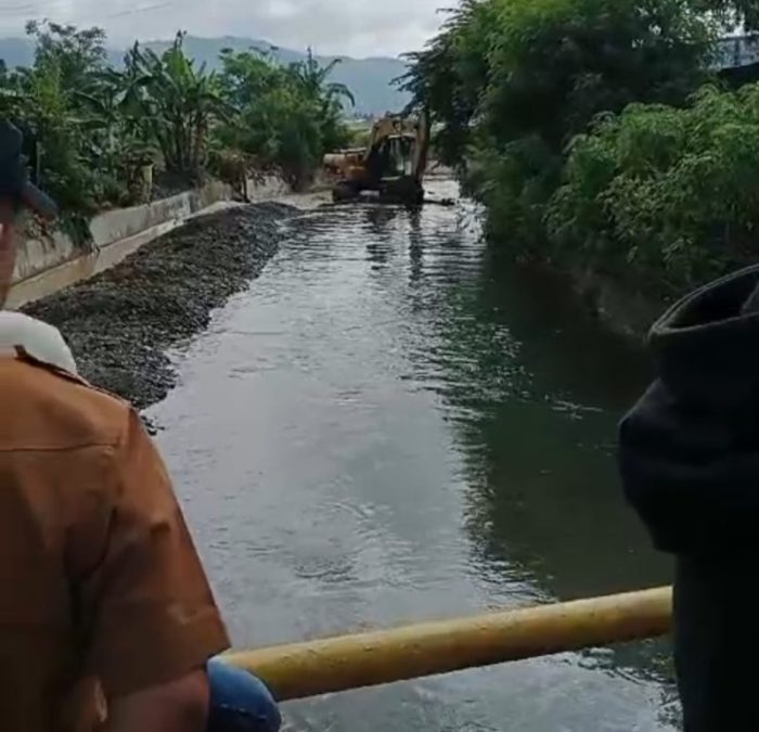 Bedanya Ayam Layer Dan Broiler - Jagad Tani - Petaninya Milenial Bedanya Ayam Layer Dan Broiler - Jagad Tani - Petaninya Milenial