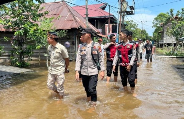 Daun penggemuk ayam di Kota Bangun, Kutai Kartanegara
