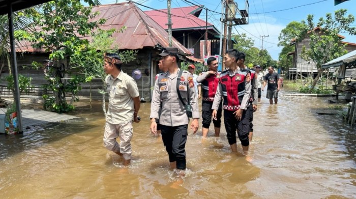 Daun penggemuk ayam di Kota Bangun, Kutai Kartanegara
