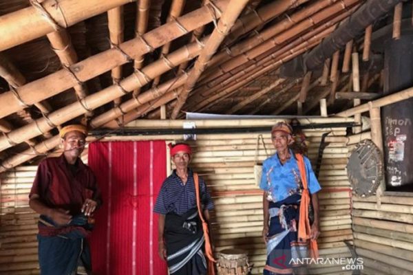 Daun penggemuk ayam di Kodi Bangedo, Sumba Barat Daya