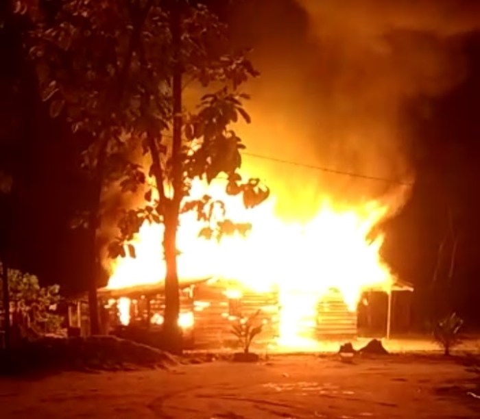 TIPS PRODUKSI TERNAK AYAM KAMPUNG BISA LEBIH BANYAK DENGAN CARA INI‼️💯 ... Ternak Ayam Kampung di Penawar Aji, Tulang Bawang