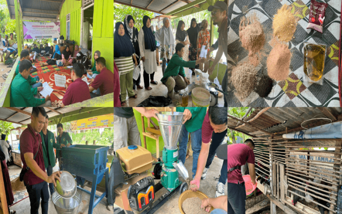 Tim PKM Faterna Unand Latih Peternak di Nagari Sungai Nipah Pessel ... Ayam ternak di Lunang, Kabupaten Pesisir Selatan