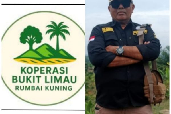 Ayam layer di VII Koto, Kabupaten Tebo