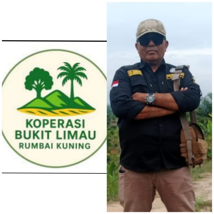 Telah Hadir Koperasi Bukit Limau Rumbai Kuning di Desa Balai Rajo Kec ... Ayam layer di VII Koto, Kabupaten Tebo
