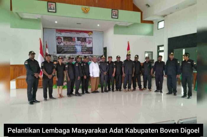 Reorganisasi Lembaga Masyarakat Adat Kabupaten Boven Digoel - WartaPRESS Daun penggemuk ayam di Fofi, Kab. Boven Digoel