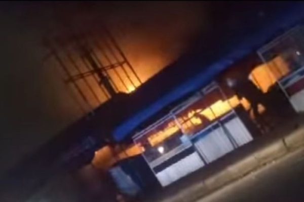 Ayam ternak di Sungai Limau, Kabupaten Padang Pariaman