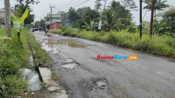 28 resep ayam sariwangi enak dan mudah - Cookpad Ayam afkir di Sariwangi, Tasikmalaya