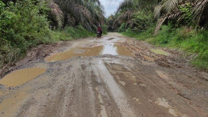 Selain Ayam Taliwang, Lombok Punya Ayam Rarang Selain Ayam Taliwang, Lombok Punya Ayam Rarang