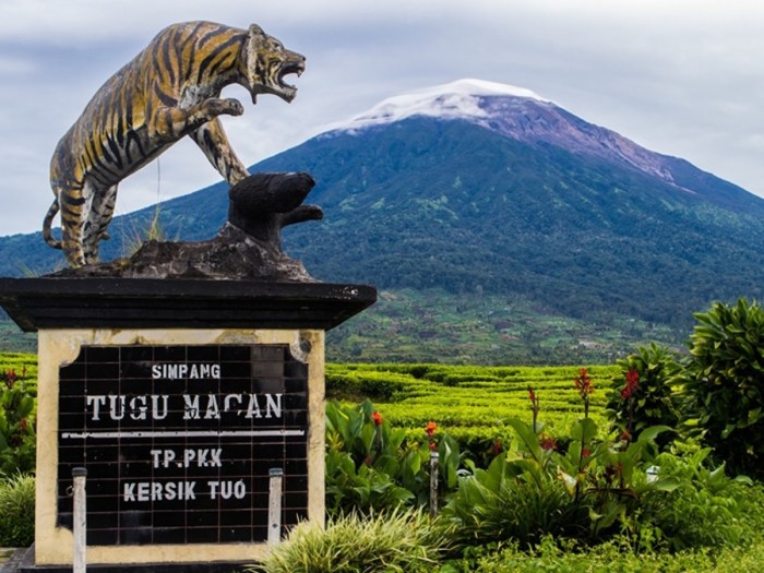 GUNUNG KERINCI Wisata Gunung Berapi Tertinggi - September 2025 Ayam layer di Gunung Kerinci, Kabupaten Kerinci