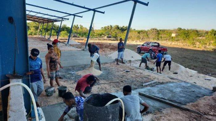 Daun penggemuk ayam di Sabu Tengah, Sabu Raijua