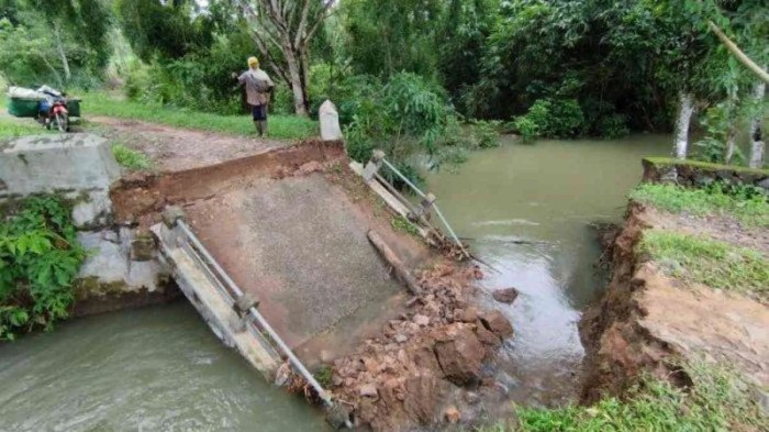 Budidaya ayam di Terusan Nunyai, Lampung Tengah