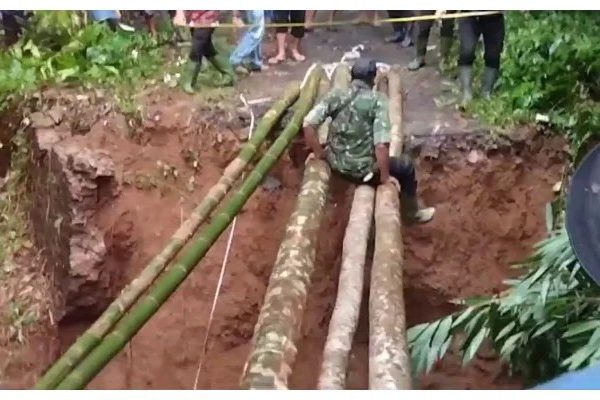 Daun penggemuk ayam di Jiput, Kab. Pandeglang