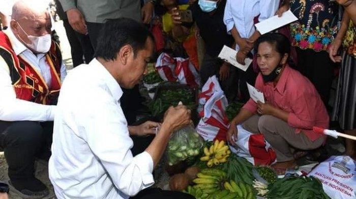 PERDANA TERNAK AYAM di TENGAH KOTA Banyak Masalah yg Dihadapi (SEMUA ... Ayam Ternak di Alasa, Nias Utara