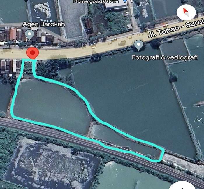 Susu kambing di Duduk Sampeyan, Gresik