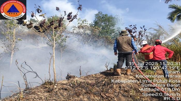Hari Ini, 3 Hektare Hutan dan Lahan Tebakar di Harau Lima Puluh Kota ... Hari Ini, 3 Hektare Hutan dan Lahan Tebakar di Harau Lima Puluh Kota ...