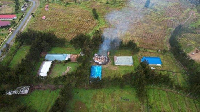 Daun penggemuk ayam di Gome, Kab. Puncak